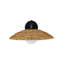 Barbary - Light Outdoor Barn Light
