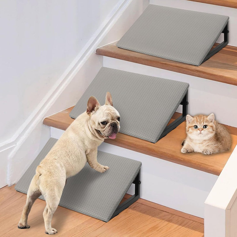 Rampe pour chien pour escalier - Escalier pour animal avec escalier avec fond antidérapant pour petits chats