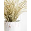 57cm Faux Reed Grass in Ceramic Pot