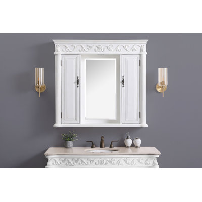 W H Surface Framed Medicine Cabinet with Mirror and Fixed Shelves