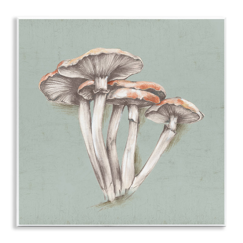 «Mushroom Bundle», art mural sur bois par Eli Jones