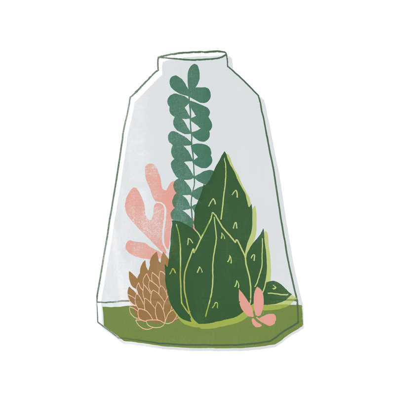 Terrarium Cameo IV by June Erica Vess - Painting, Black Floater Framed, 30 cm H x 20 cm W