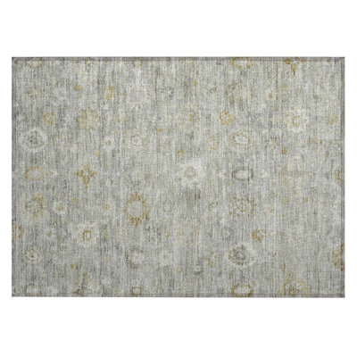 Machine Washable Indoor/Outdoor Xhevrie Gray Rug