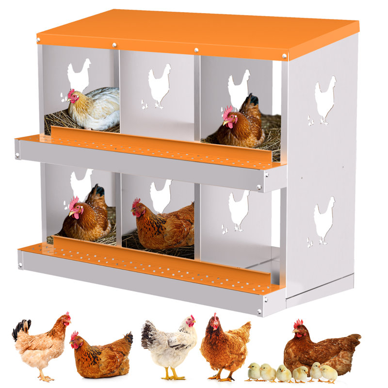 Boîte de nidification en métal pour poules pondeuses, H 26,57 po x l 32,09 po x P 16,93 po, Orange