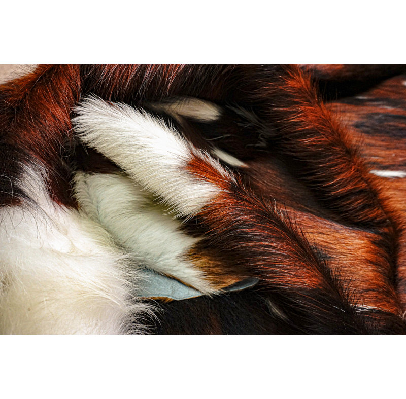 Cowhide Indoor Rug, 5' x 7'