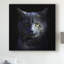 «Blue Cat» par Alain Grillet - reproduction de photo sur toile tendue-626050890