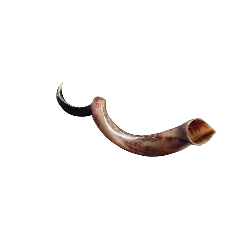 Polished Horn (Loose)