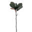 Vickerman 24" Artificial Green Magnolia Spray with 6 Leaves. Includes four pieces per bag.