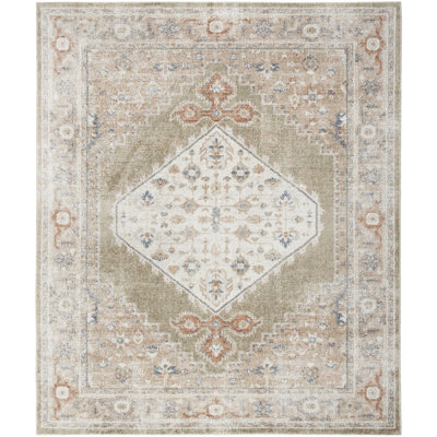  Astra Machine Washable 10' x 14' Sage Multicolor Vintage Indoor Rug