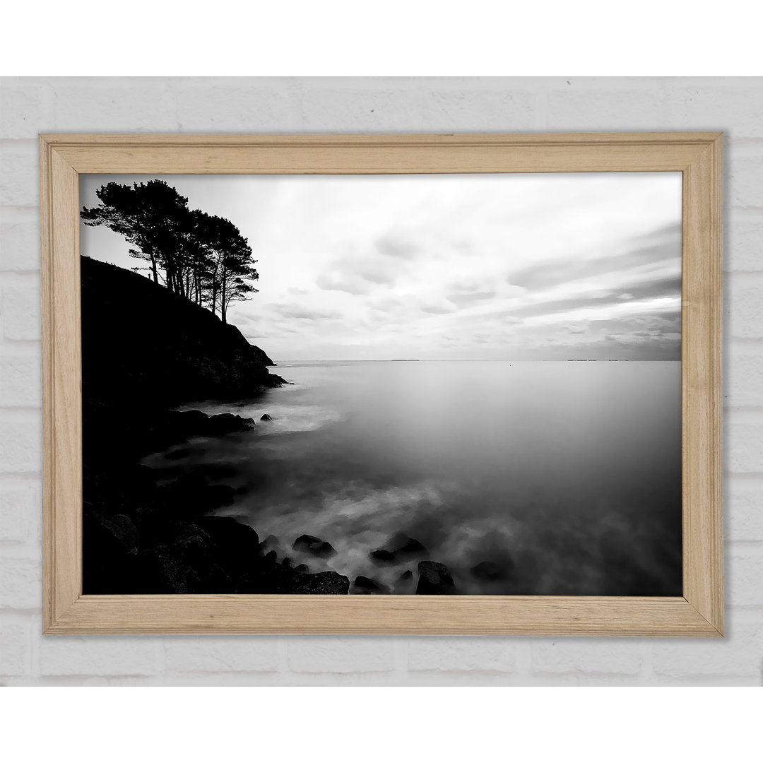 Gerahmtes Leinwandbild Tree Top Ocean Calm B N W