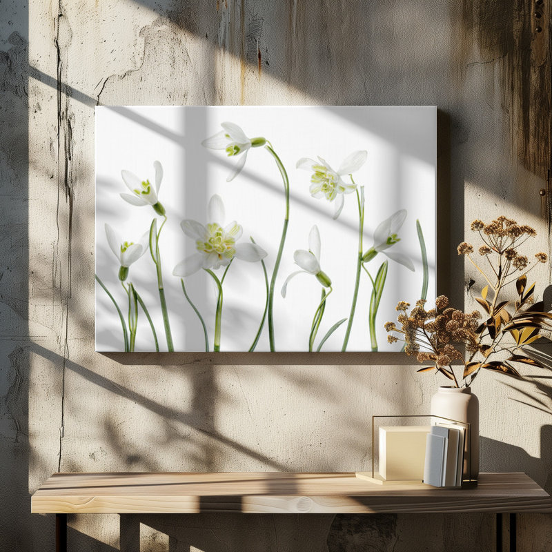 Wrapped Canvas Print, 50.8 cm H x 76.2 cm W