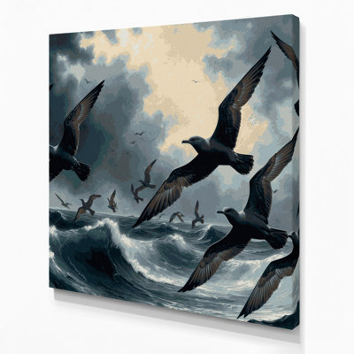 «Birds Sooty Shearwater», art mural sur toile