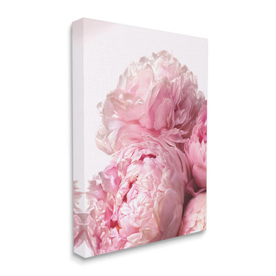 " Blush Pink Peonies Florals Blooming over White " Graphic Art Print