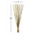 Muriel 40" Elephant Reed, Dried-349957730
