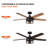 Rippy 52'' Ceiling Fan with Light Kit