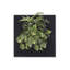 Noella Planter-91489280