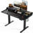 Ergonomic Electric Standing Desk With Drawers: Adjustable Height For Living Room/Bedroom/Office/Study Room-1578207757