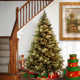 The Holiday Aisle® Carolina Pine Tree with Clear Lights