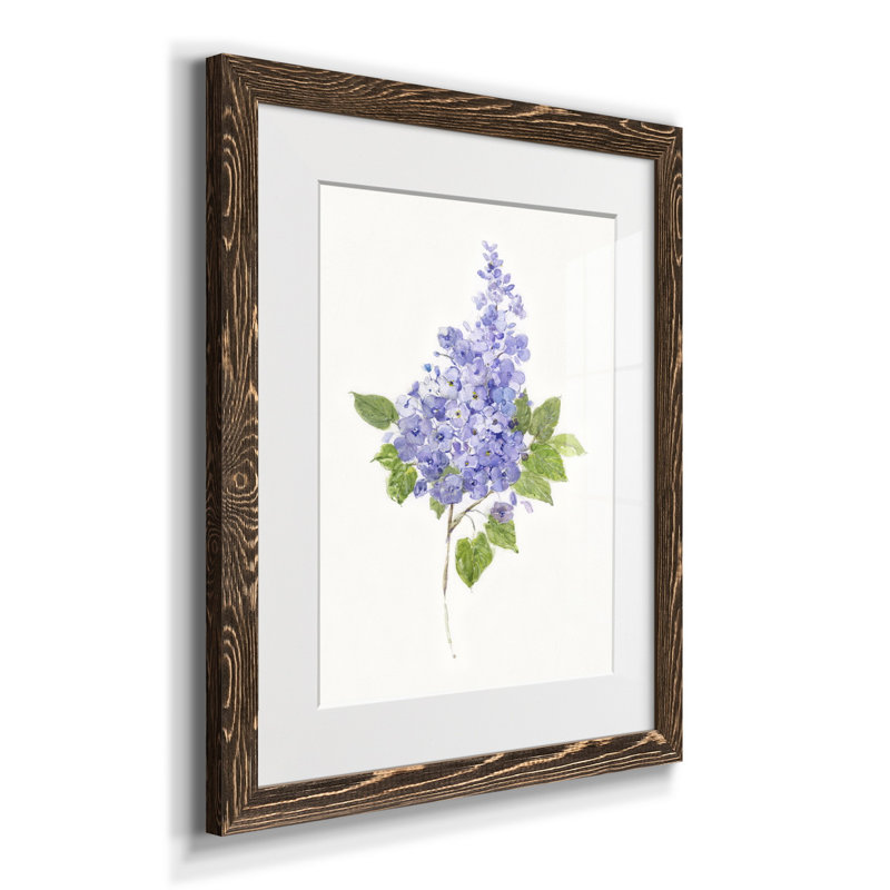 Lilas botanique délicat - impression, Noyer, H 24 po x l 18 po x P 1,5 po