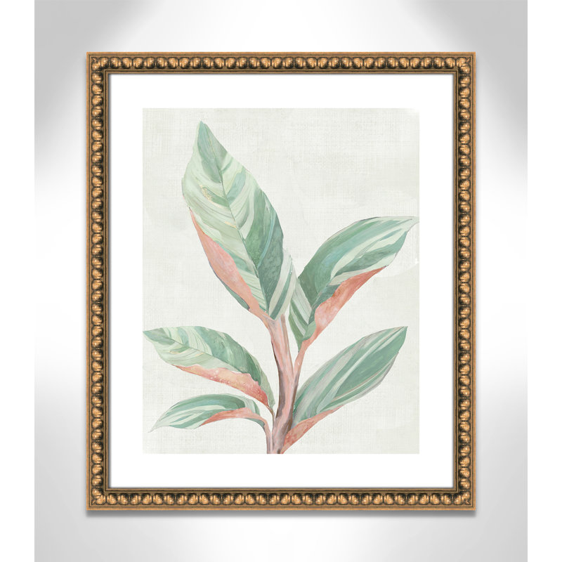 Gingembre II - reproduction d'art, Papier avec cadre à perles dorées, H 25,5 po x l 21,5 po x P 1,13 po