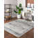 Lapierre Oriental Indoor Rug