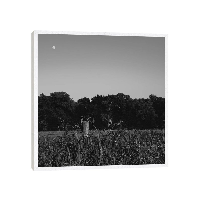 Summer Moon II by Bethany Young - Print on Canvas, 45.72cm H x 45.72cm W x 3.81cm D, White Framed