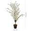 95cm Faux Wintersweet Plant in Planter