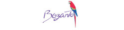 BozantoInc logo