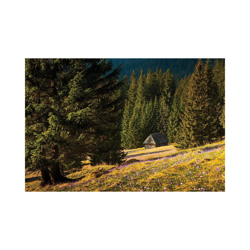 Poland Tatra Mountains Chocholowska Valley by Mikolaj Gospodarek - Wrapped Canvas Print, 20.32 cm H x 30.48 cm W