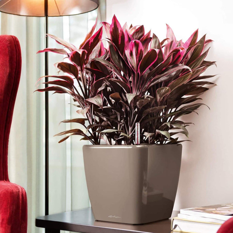 Pot à fleurs carré en plastique Quadro LS 21 avec indicateur de niveau d'eau pour l'intérieur et l'extérieur, blanc brillant