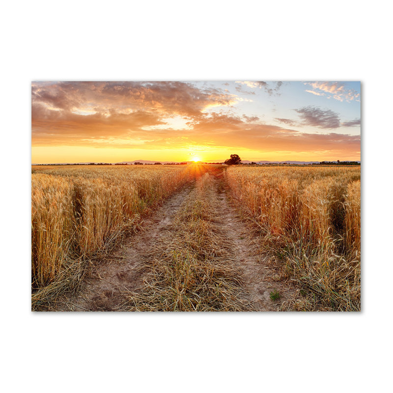 Wheat Field - Wrapped Canvas Print