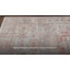 Tapis oriental colombe / épices Jujhar-1735620491