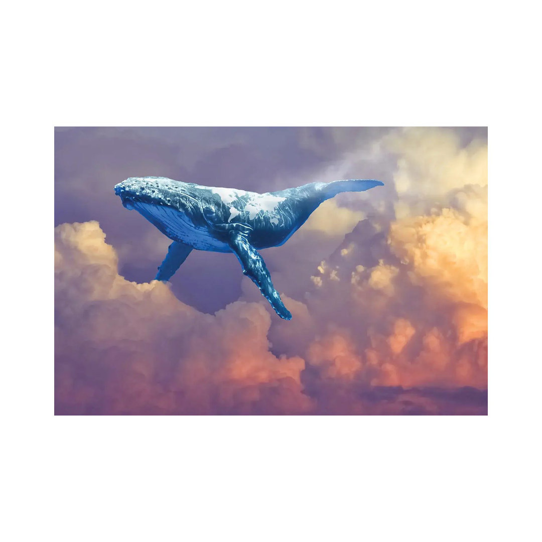 World Whale Watching