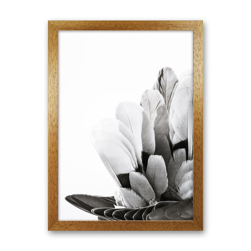 Feathers by Victoria Frost - Print, Oak Framed, 46cm H x 34cm W x 3cm D