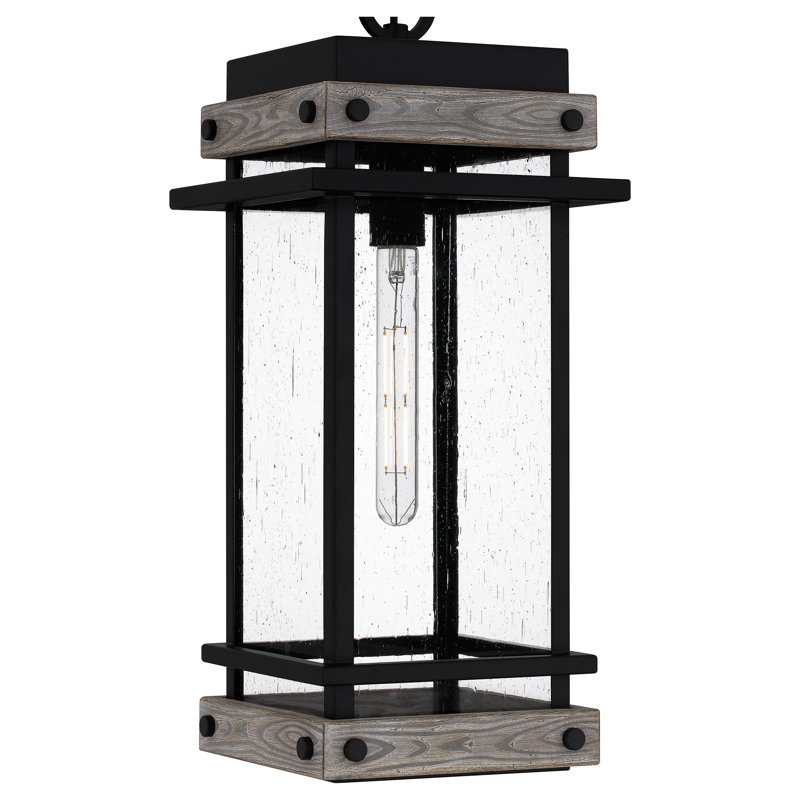 Franciane 1-Light Matte Black Mini Pendant Light