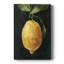 - Impression sur toile tendue-1471068938