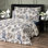 Stephani Fitted Sheet