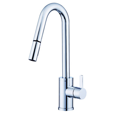 Amalfi Pull Down Single Handle Kitchen Faucet