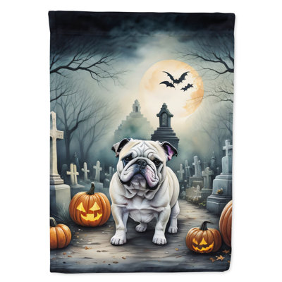 Double Sided 40'' H x 28'' W Polyester Halloween House Flag