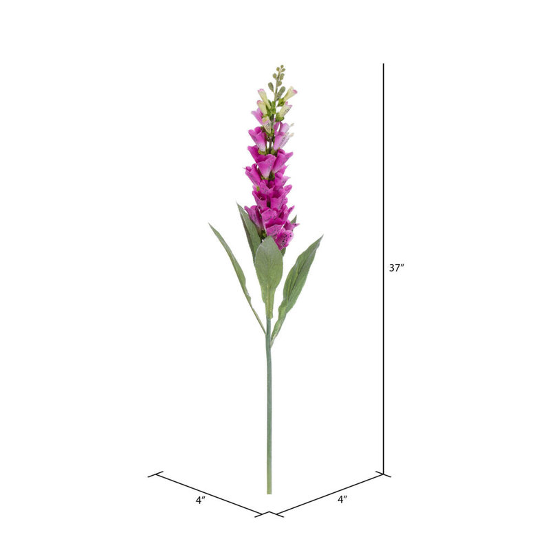 Fuchsia Arrangement, Fuchsia