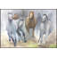 Team Print by Helen Parker-46308168-47480240