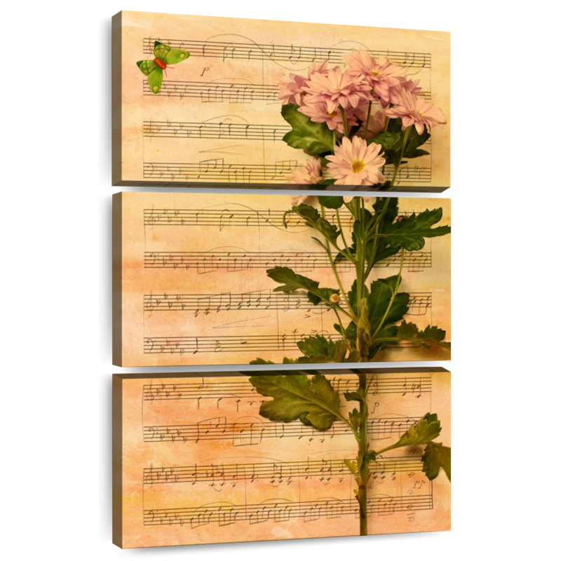 Harnek Chrysanthemum Melody, H 32 po x l 20 po