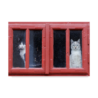 Wrapped Canvas Wall Art - Sorin Onisor 'Room With A View Cats' Wall Art for Living Room, Bedroom, or Office Décor - 30x47