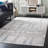 Quincy Performance Indoor/Outdoor Area Rug-98090515