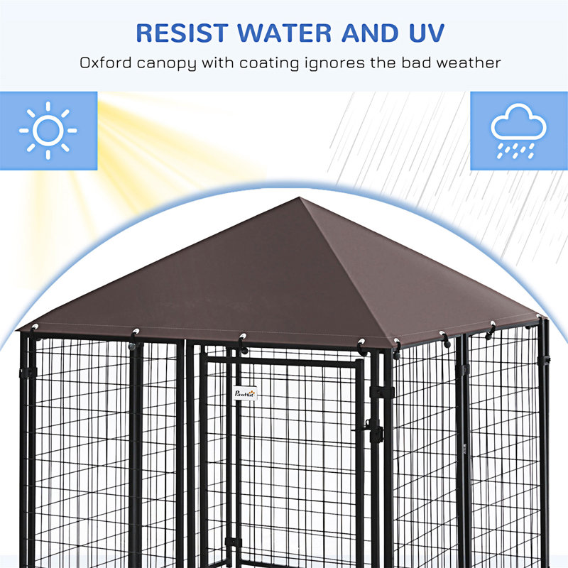 5' x 5' Black Steel Outdoor Dog Kennel with Roof