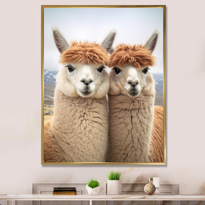 " Alcapas Curious Companions Two "