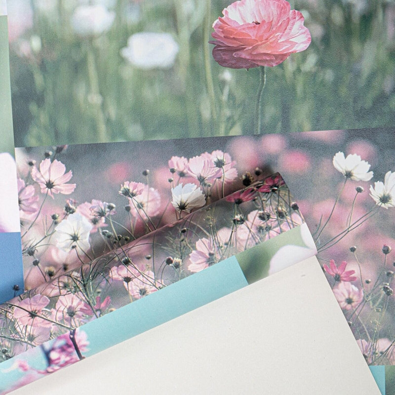 Nellie 10m x 53cm Matte Wallpaper Roll
