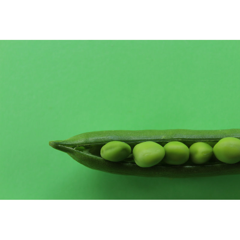 Peas - Wrapped Canvas Print, 30cm H x 46cm W x 3.8cm D