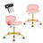 Salon Stool Chair,rolling Stool,hydraulic Hair Salon Chairs,height Adjustable,360 Degrees Rolling Swivel Lash Tech Chair,ergonomic With Backrest Wheels For Tattoo Massage Facial Spa(pink2)-1093081737
