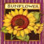 Paquet de graines de tournesol-107113610